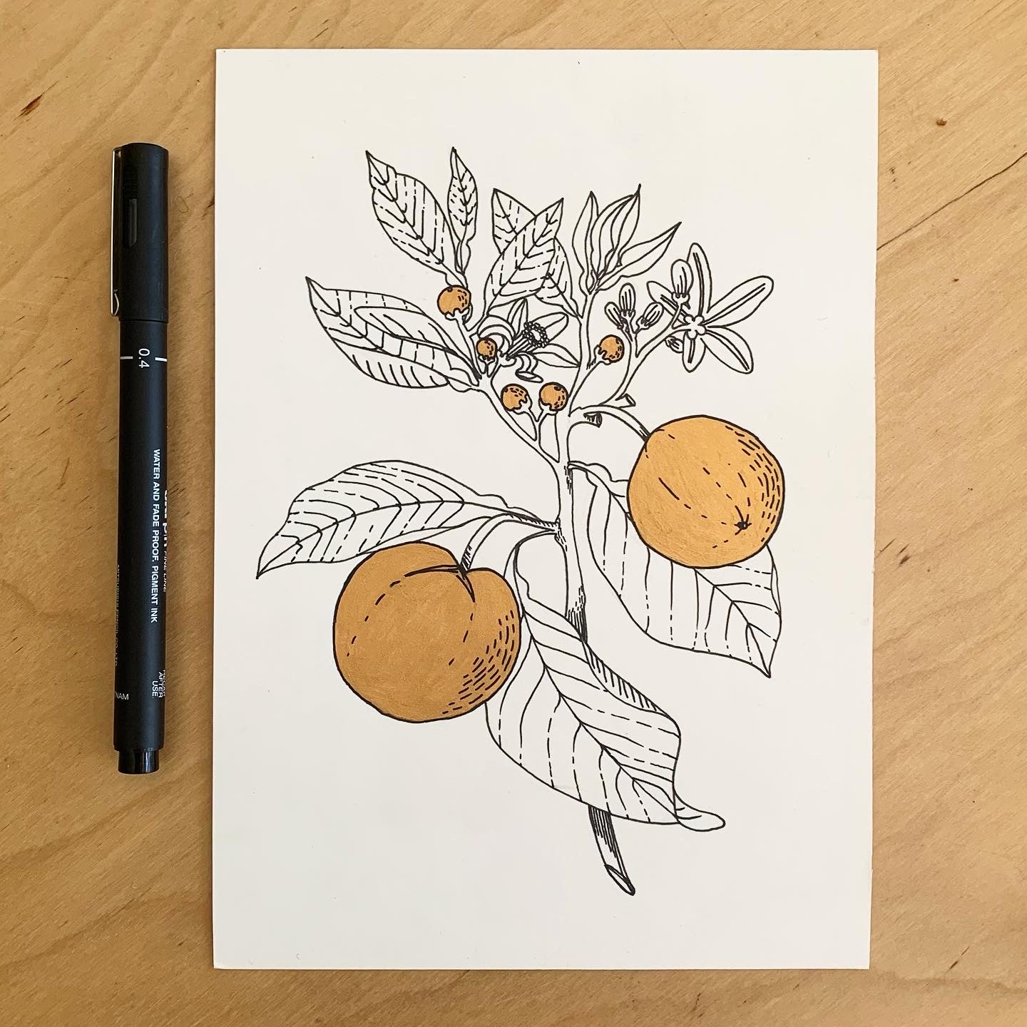 Citrus Boost - Original Illustration