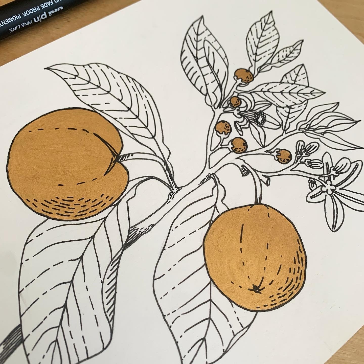 Citrus Boost - Original Illustration