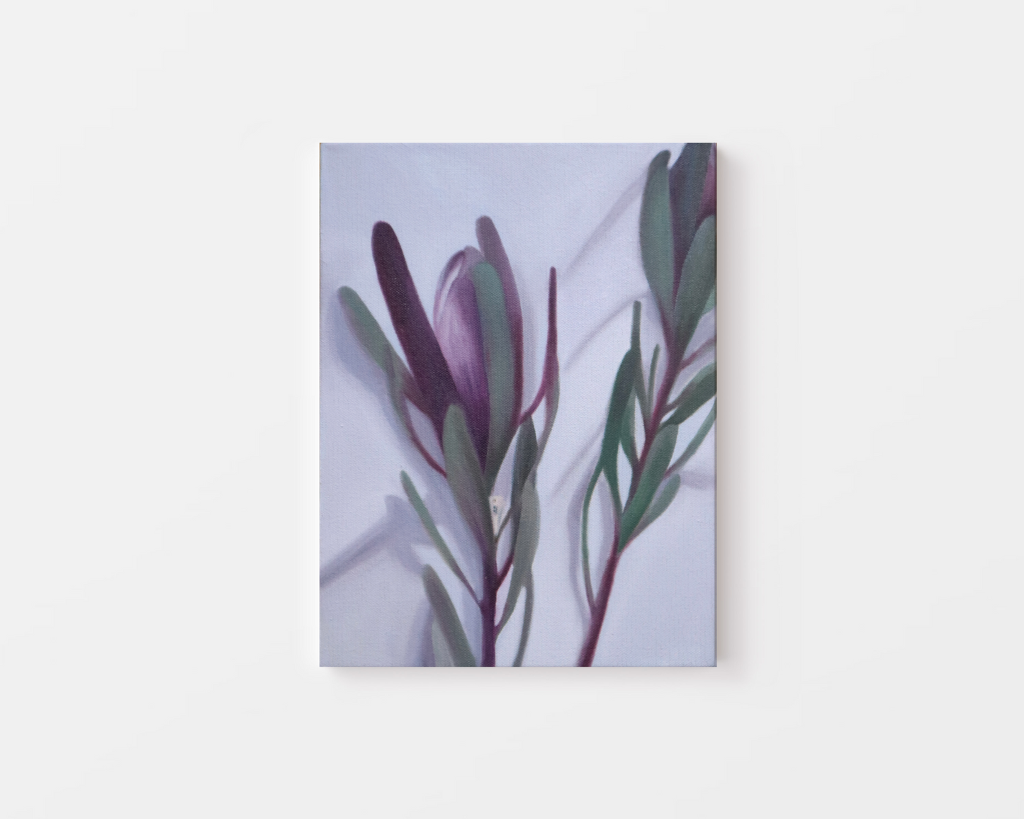 Lepidopteran - Original Painting