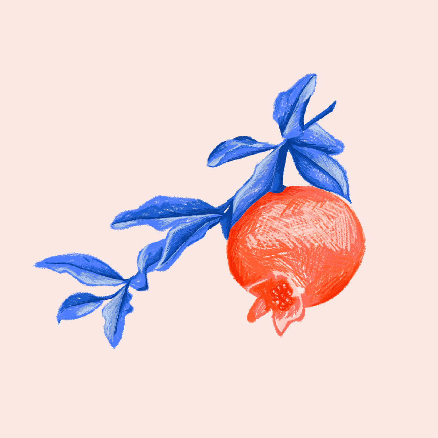 Pomegrantastic - Print