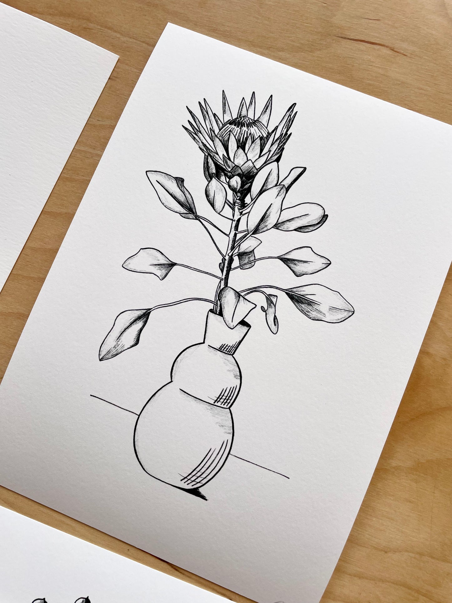 Hey Sugar(bush) - Print