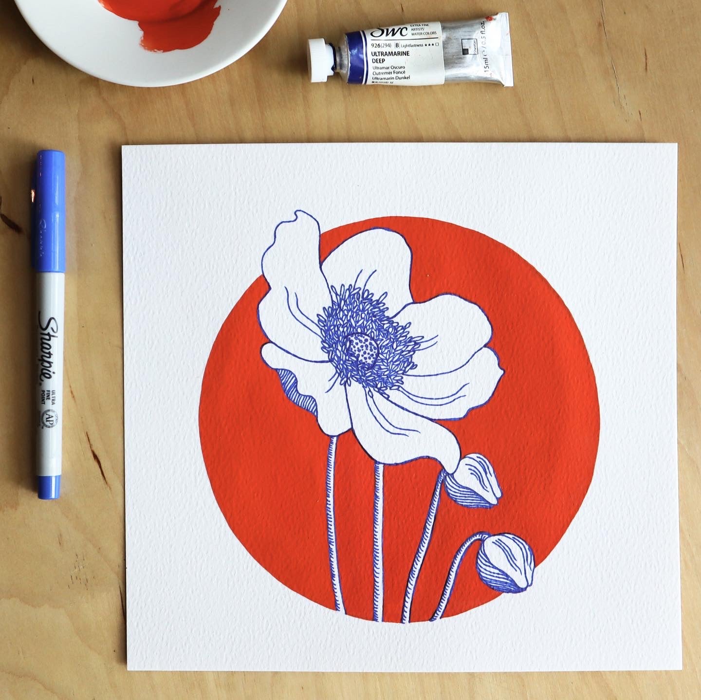 Poppy of Colour - Print