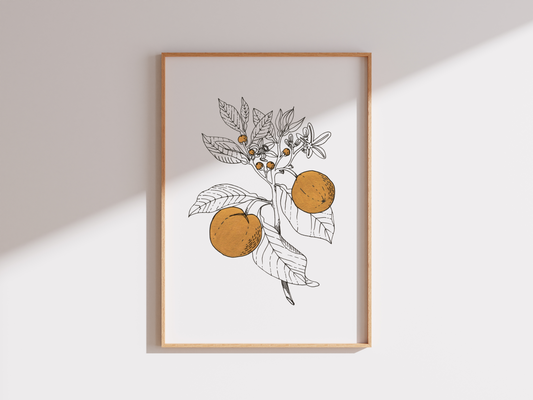 Citrus Boost -  Original Illustration
