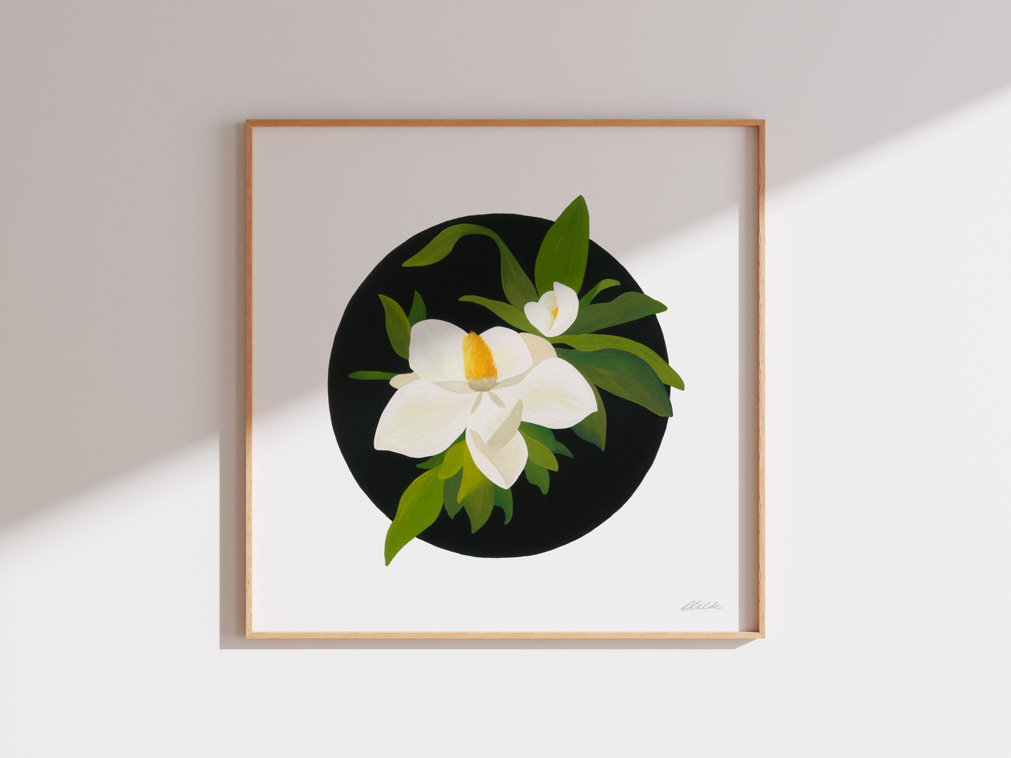 Magnolia Grandiflora - Print