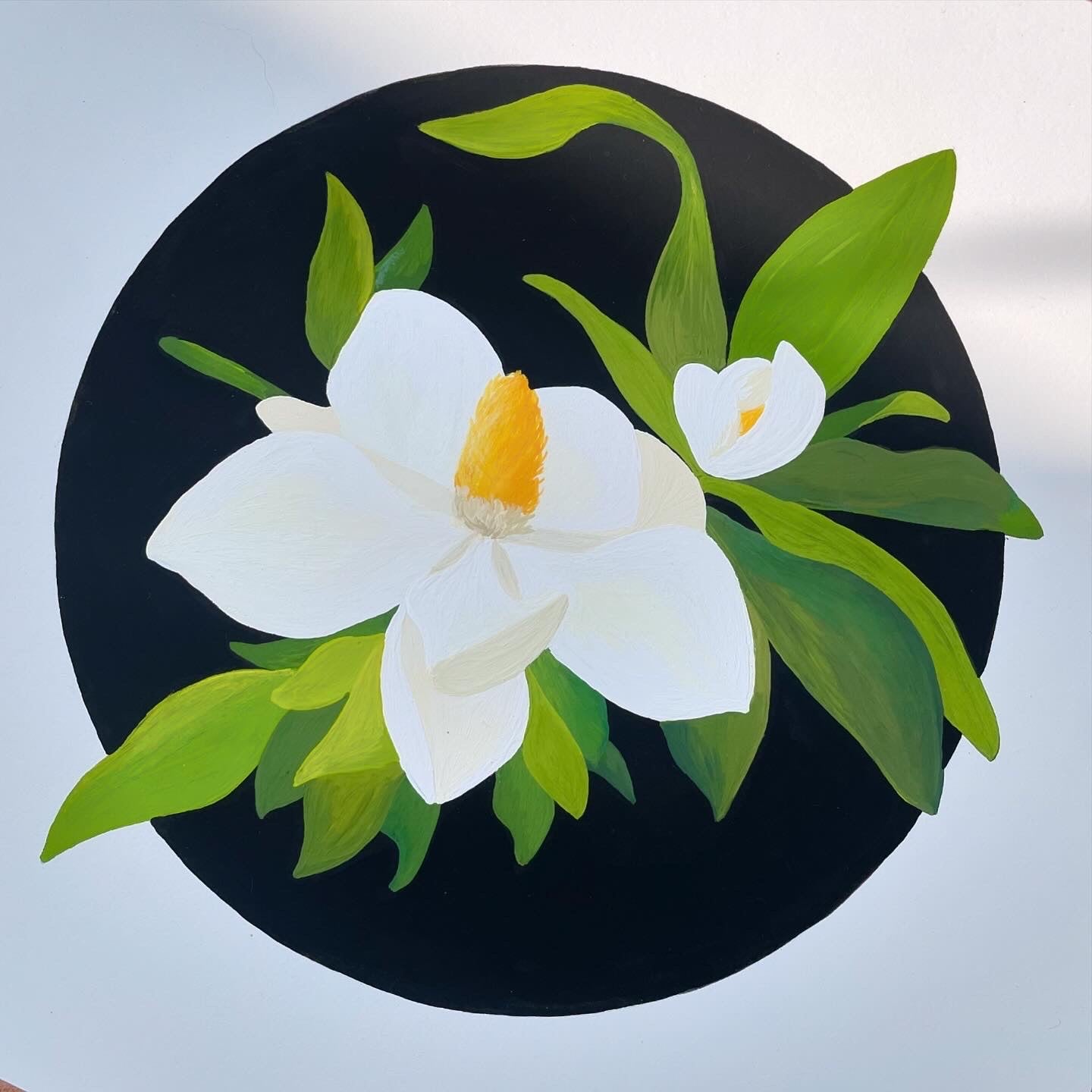 Magnolia Grandiflora - Print